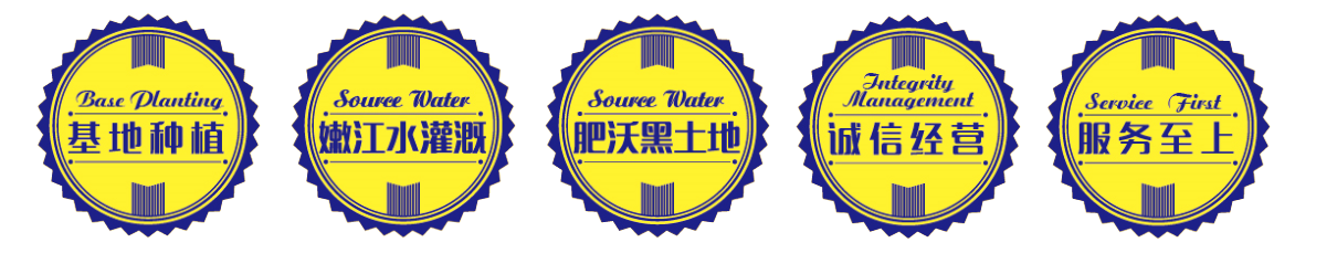 68663950898c2.png 未标题-2.png